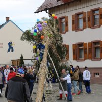 Schmutziger tagsüber